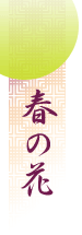春の花