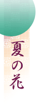 夏の花