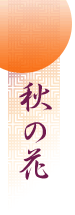 秋の花