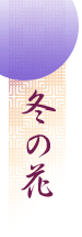 冬の花